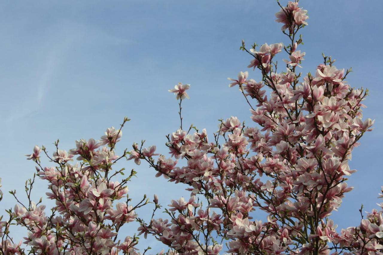Magnolia Appartement Vlijmen Exteriér fotografie